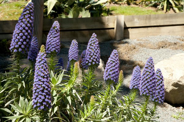 Maîtriser l'Art de l'Emballage : Conseils Ingénieux et Techniques Infaillibles